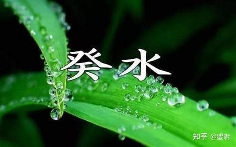 葵水命格|癸水